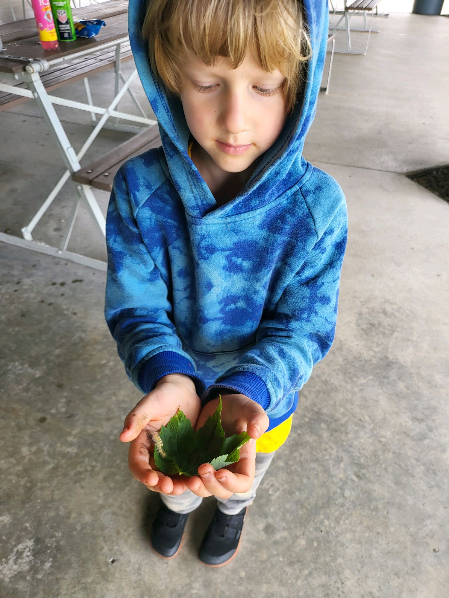 Scout examining a caterpillar on a leaf